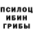 Псилоцибиновые грибы GOLDEN TEACHER pirat228