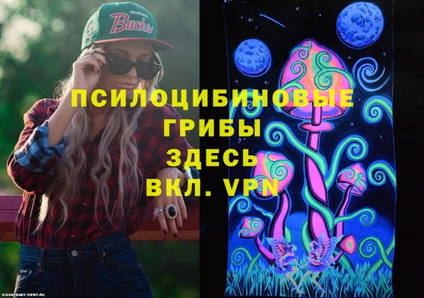 круглые Бородино