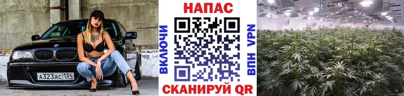 как найти закладки  mega как зайти  Бошки марихуана Amnesia  Ува 